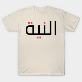 Morocco flag maghribi niya T-Shirt